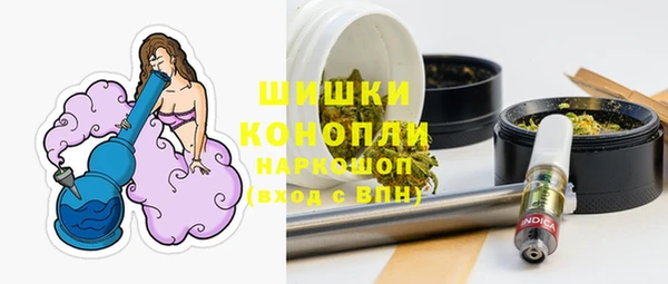 герыч Мегион