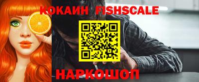 гашик Аргун