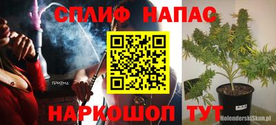 гашик Аргун