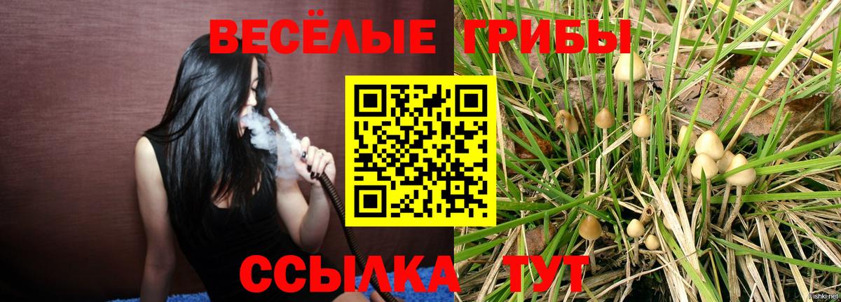 Псилоцибиновые грибы ЛСД Барнаул