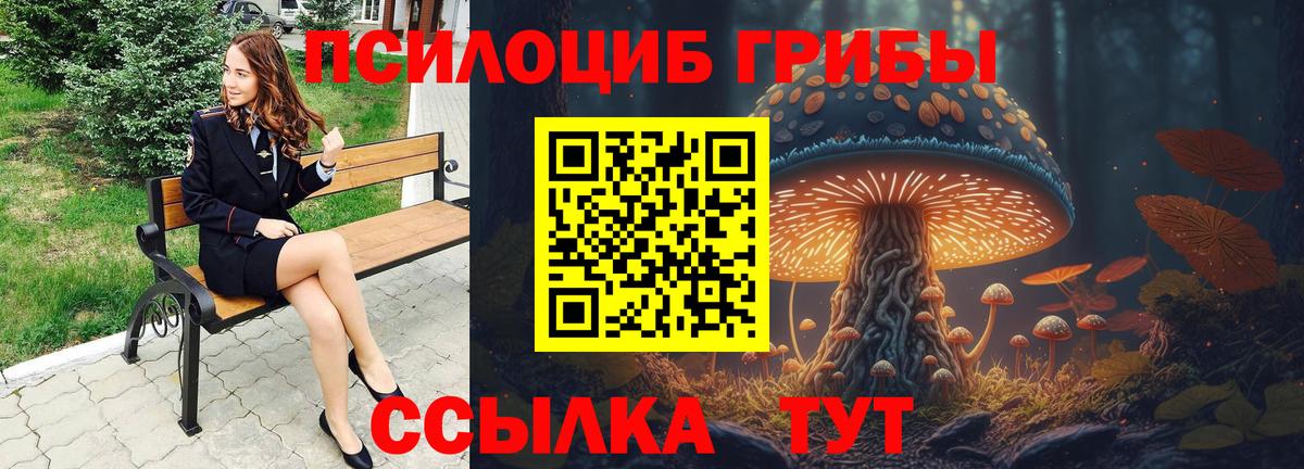 Барнаул  Галлюциногенные грибы мицелий  Вход с VPN  Псилоцибиновые грибы Psilocybine cubensis 