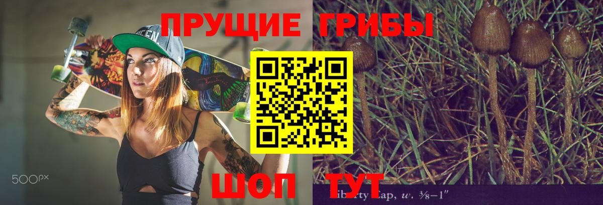 Галлюциногенные грибы Psilocybe  Псилоцибиновые грибы мухоморы  Барнаул 